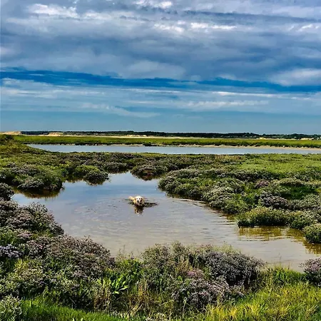 La Maison Verte En Baie De Somme Feriehus *